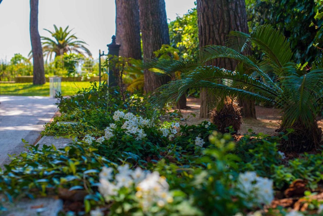 Bed and Breakfast Tra Gli Alberi E Il Mare Sirolo Exteriér fotografie